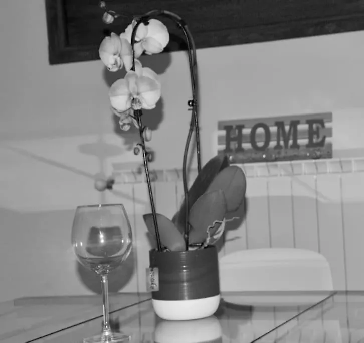 Brand New Apartment Florence 0*,  Italy